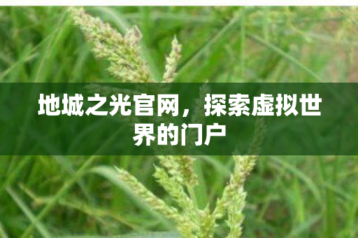 地城之光官网，探索虚拟世界的门户