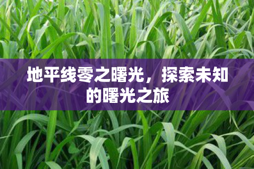 地平线零之曙光，探索未知的曙光之旅