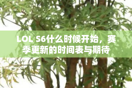 LOL S6什么时候开始，赛季更新的时间表与期待