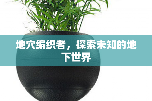 地穴编织者，探索未知的地下世界
