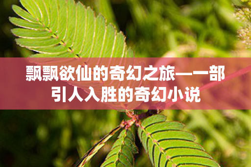 飘飘欲仙的奇幻之旅—一部引人入胜的奇幻小说