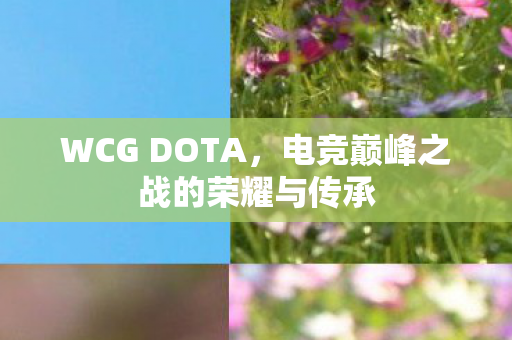 WCG DOTA,电竞巅峰之战的荣耀与传承 WCG DOTA,电竞巅峰之战的荣耀与传承