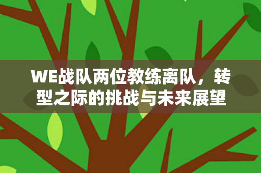 WE战队两位教练离队,转型之际的挑战与未来展望 WE战队两位教练离队,转型之际的挑战与未来展望