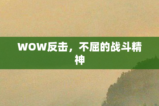 WOW反击,不屈的战斗精神 WOW反击,不屈的战斗精神