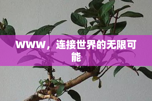 WWW，连接世界的无限可能