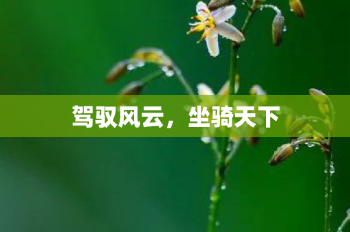 驾驭风云，坐骑天下