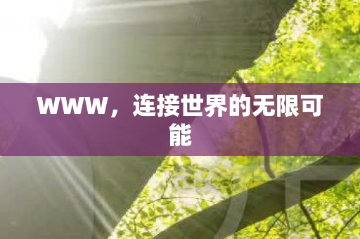 WWW,连接世界的无限可能 WWW,连接世界的无限可能