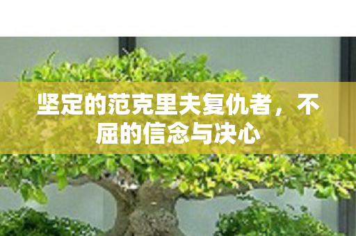 坚定的范克里夫复仇者,不屈的信念与决心 坚定的范克里夫复仇者,不屈的信念与决心