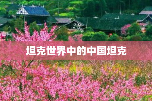 坦克世界中的中国坦克