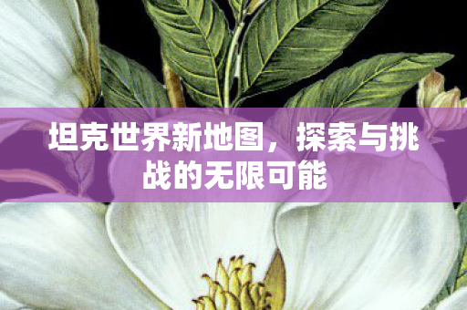 坦克世界新地图,探索与挑战的无限可能 坦克世界新地图,探索与挑战的无限可能