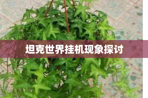 坦克世界挂机现象探讨