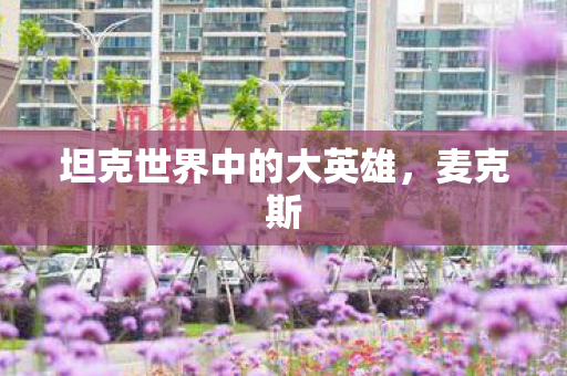 坦克世界中的大英雄，麦克斯