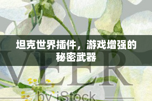 坦克世界插件，游戏增强的秘密武器