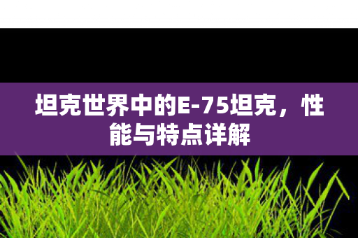 坦克世界中的E-75坦克,性能与特点详解 坦克世界中的E-75坦克,性能与特点详解