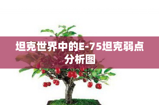 坦克世界中的E-75坦克弱点分析图 坦克世界中的E-75坦克弱点分析图