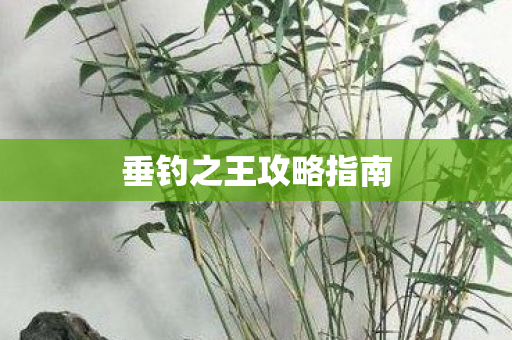 垂钓之王攻略指南 垂钓之王攻略指南