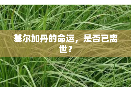 基尔加丹的命运，是否已离世？