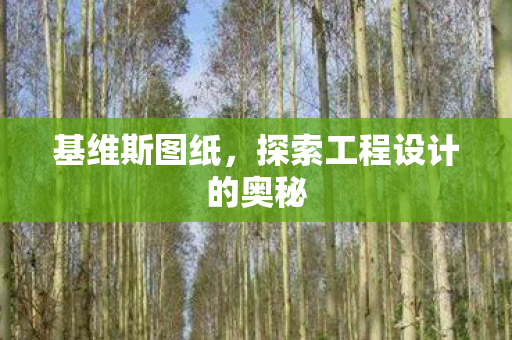 基维斯图纸，探索工程设计的奥秘