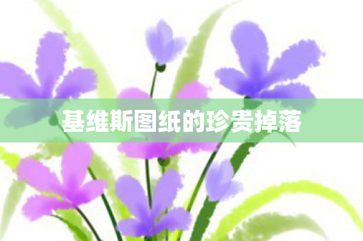 基维斯图纸的珍贵掉落 基维斯图纸的珍贵掉落