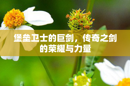 堡垒卫士的巨剑,传奇之剑的荣耀与力量 堡垒卫士的巨剑,传奇之剑的荣耀与力量