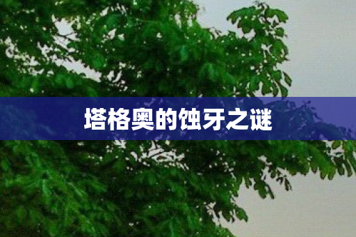 塔格奥的蚀牙之谜