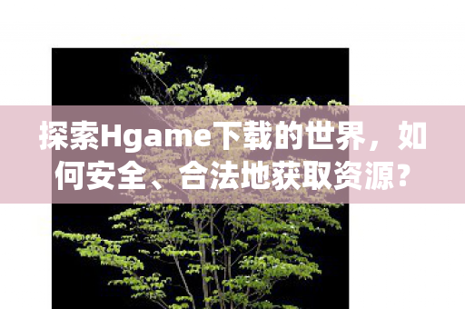 探索Hgame下载的世界，如何安全、合法地获取资源？