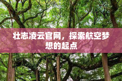 壮志凌云官网，探索航空梦想的起点