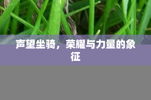 声望坐骑，荣耀与力量的象征