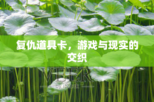 复仇道具卡，游戏与现实的交织