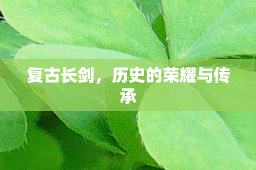 复古长剑，历史的荣耀与传承