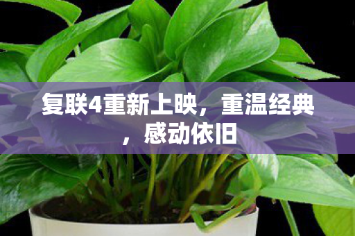 复联4重新上映,重温经典,感动依旧 复联4重新上映,重温经典,感动依旧