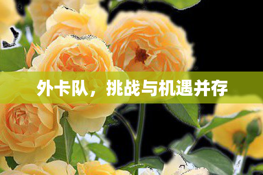 外卡队,挑战与机遇并存 外卡队,挑战与机遇并存