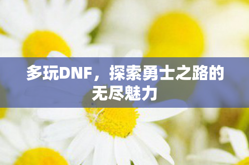 多玩DNF，探索勇士之路的无尽魅力