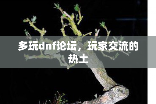 多玩dnf论坛，玩家交流的热土