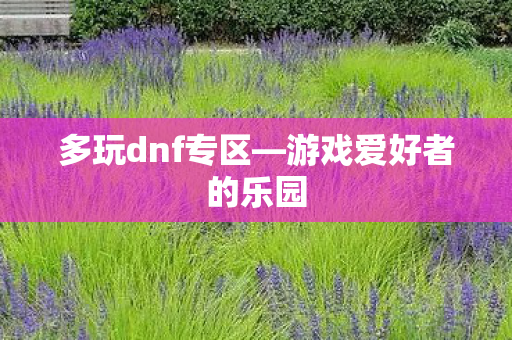多玩dnf专区—游戏爱好者的乐园