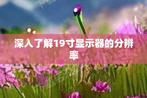深入了解19寸显示器的分辨率