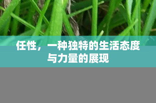 任性，一种独特的生活态度与力量的展现