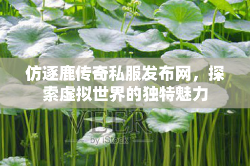 仿逐鹿传奇私服发布网，探索虚拟世界的独特魅力