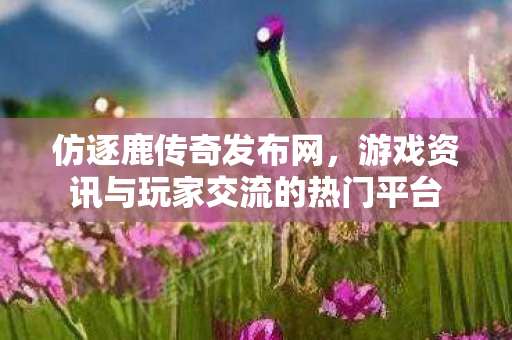 仿逐鹿传奇发布网，游戏资讯与玩家交流的热门平台