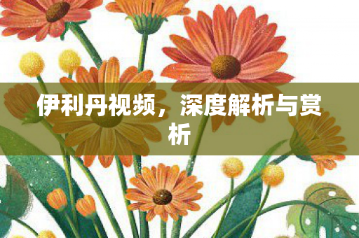 伊利丹视频，深度解析与赏析