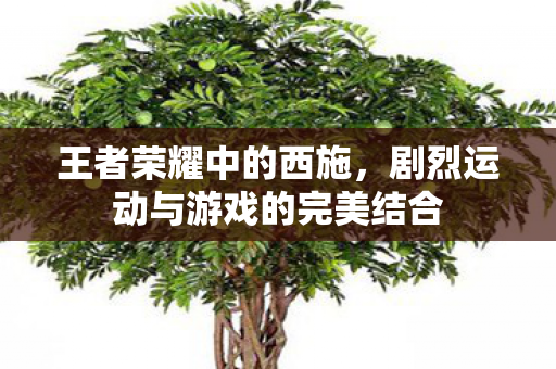 王者荣耀中的西施,剧烈运动与游戏的完美结合 王者荣耀中的西施,剧烈运动与游戏的完美结合