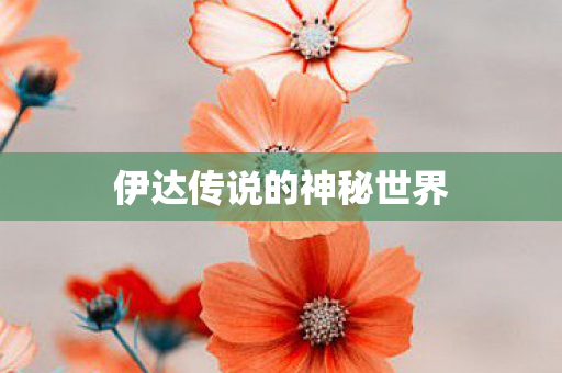 伊达传说的神秘世界 伊达传说的神秘世界