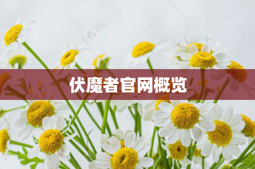 伏魔者官网概览