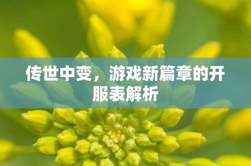 传世中变，游戏新篇章的开服表解析