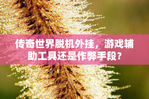 传奇世界脱机外挂，游戏辅助工具还是作弊手段？