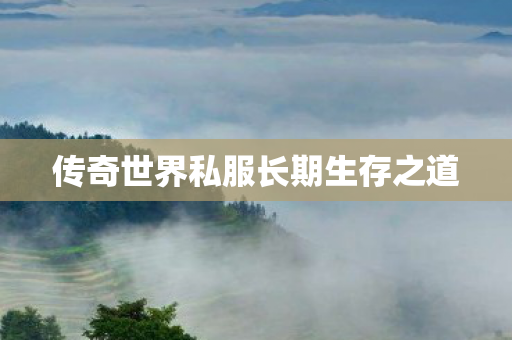 传奇世界私服长期生存之道 传奇世界私服长期生存之道