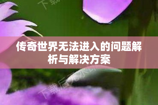 传奇世界无法进入的问题解析与解决方案 传奇世界无法进入的问题解析与解决方案