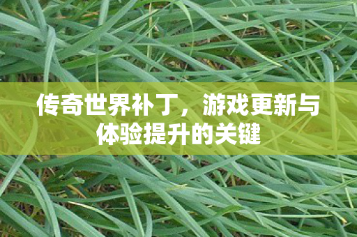 传奇世界补丁,游戏更新与体验提升的关键 传奇世界补丁,游戏更新与体验提升的关键