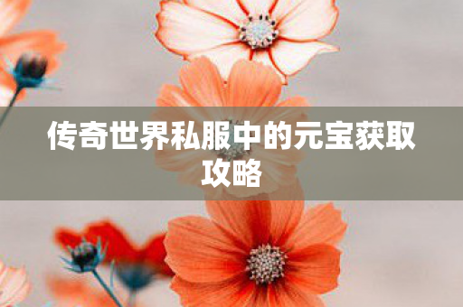 传奇世界私服中的元宝获取攻略 传奇世界私服中的元宝获取攻略