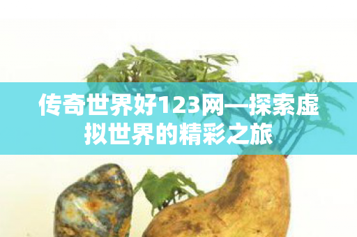 传奇世界好123网—探索虚拟世界的精彩之旅